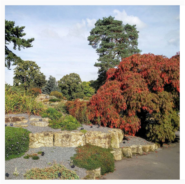 Rock Garden Kew Gardens. Credit: Kew Gardens Instagram 