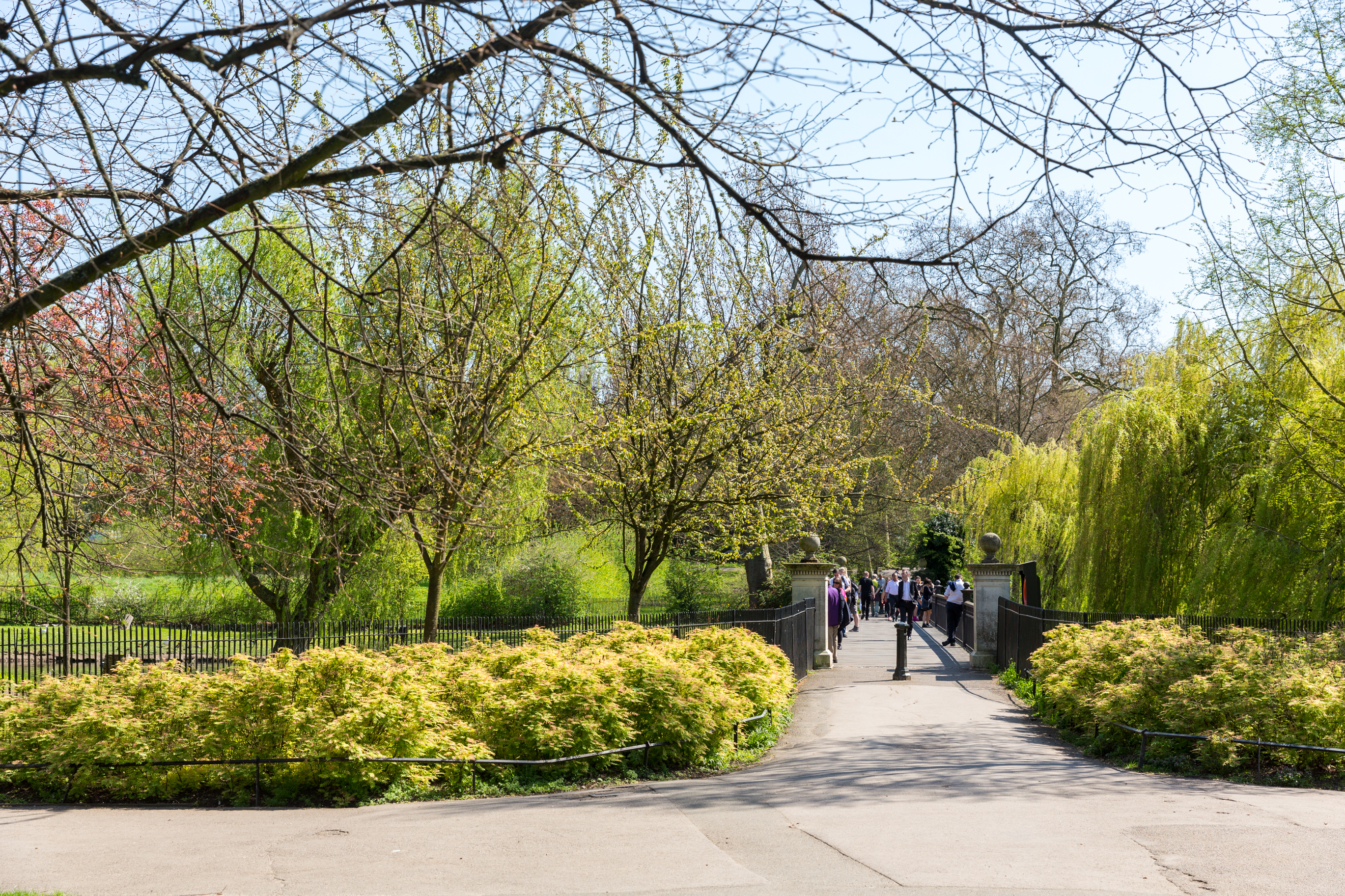 Wandsworth Area Image