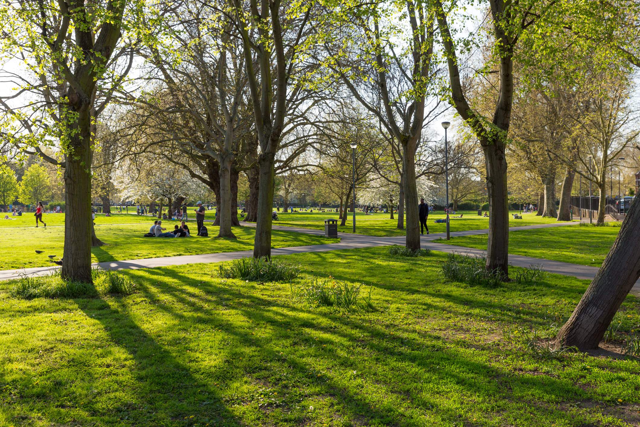 Hammersmith Area Image