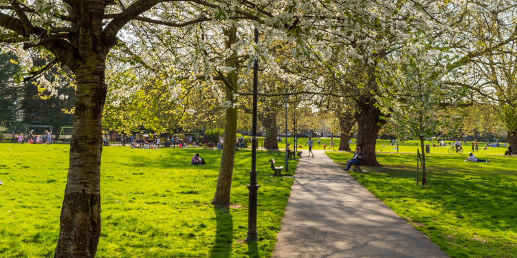 Queens Park Area Image