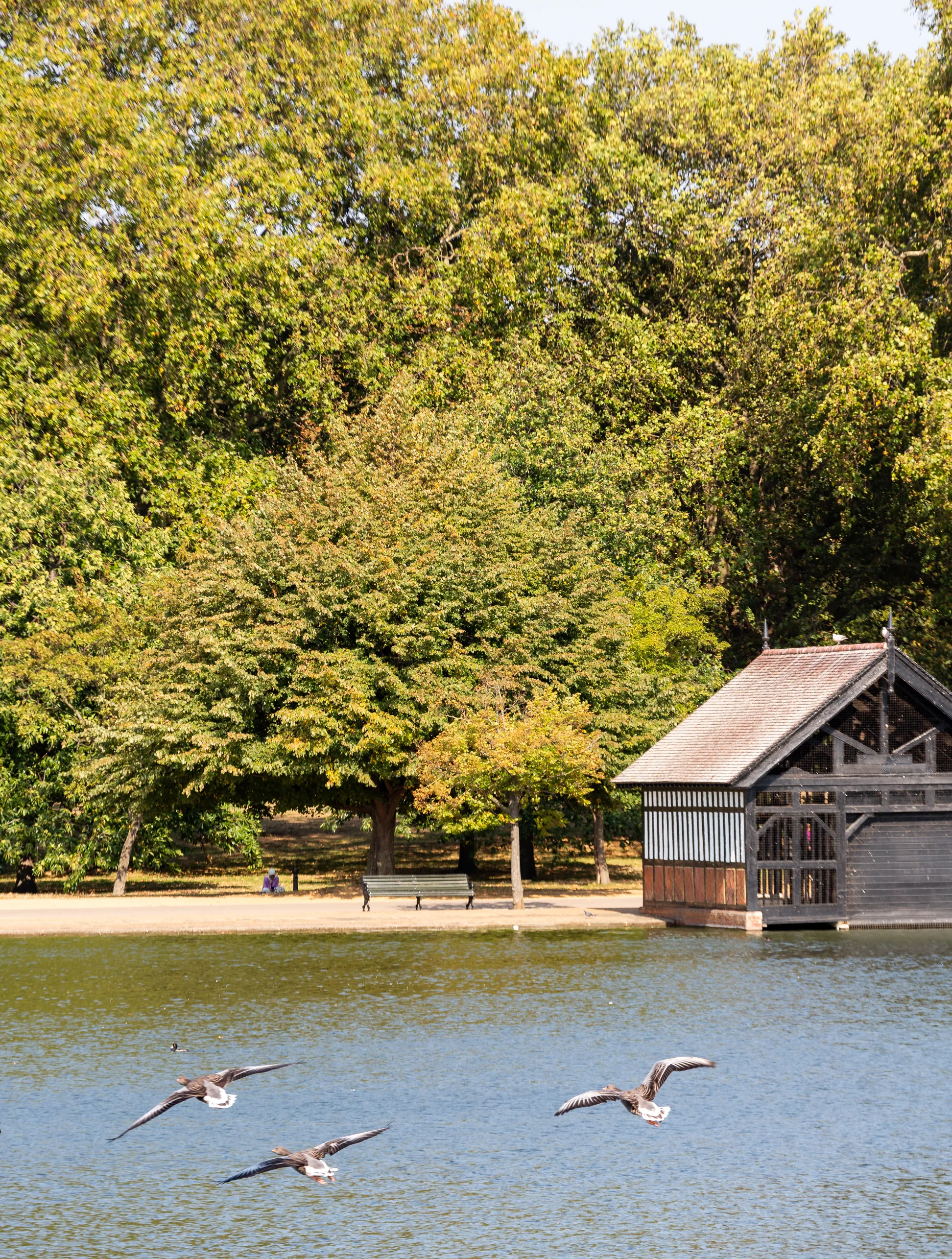 Knightsbridge Area Image