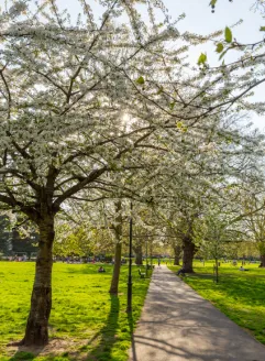 Queens Park Area Image