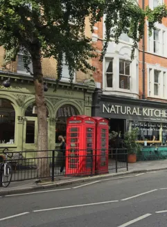 Paddington Area Image