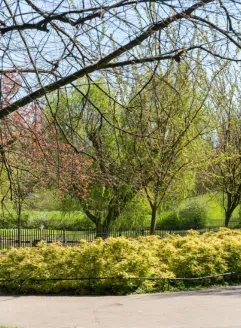 Wandsworth Area Image