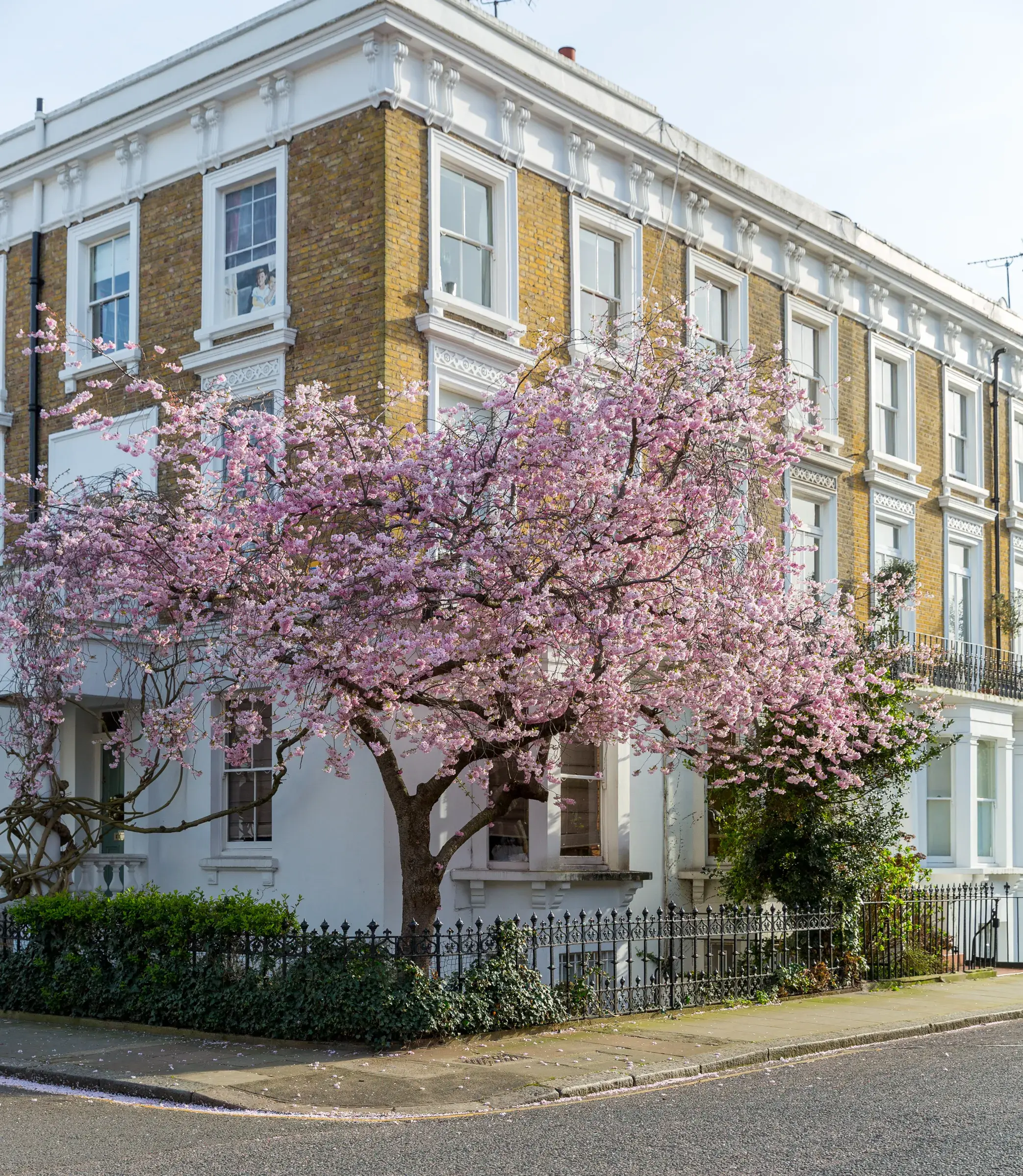 Cadogan Place, holiday apartment in Belgravia, London